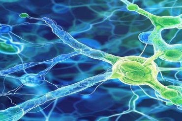 Melatonina Magistral — Doses Terapêuticas Além do 0,21 mg Industrializado