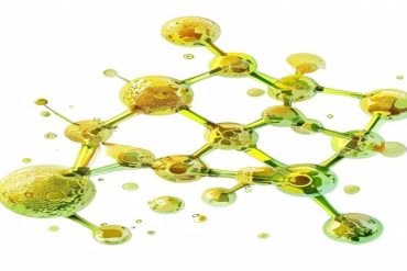 Vitamina K2: Saúde Óssea e Cardiovascular